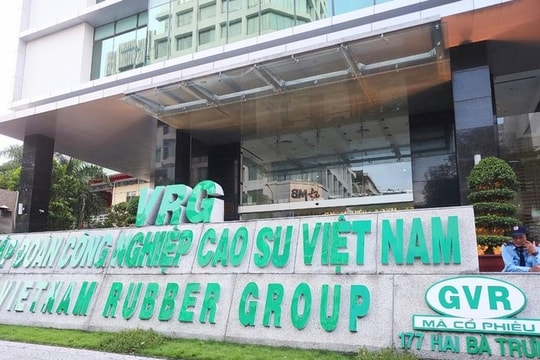 Thanh tra Chính phủ chỉ ra loạt vi phạm tại Tập đoàn Công nghiệp Cao su Việt Nam