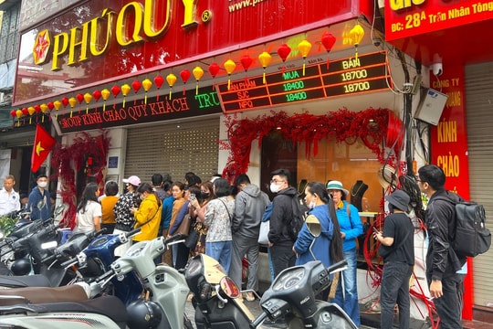 Giá vàng trong nước tăng vọt theo đà thế giới