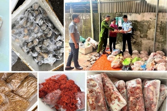 Thanh Hóa phát hiện và thu giữ 4 tấn thực phẩm không rõ nguồn gốc