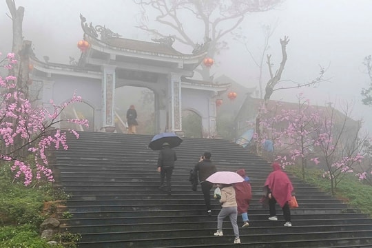 Mưa xuân