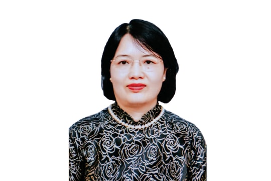 Chương trình hành động của bà Nguyễn Thị Mai Thoa: Tích cực vận động để xây dựng Hải Phòng trở thành trung tâm quốc tế về giáo dục, đào tạo