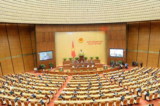 Tiểu sử tóm tắt ứng cử viên đại biểu Quốc hội khóa XVI thuộc đơn vị bầu cử số 6 thành phố Hải Phòng