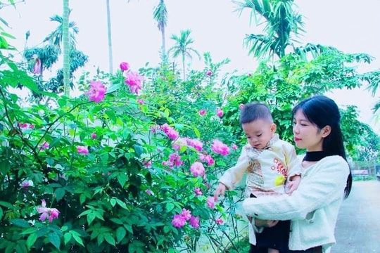Giữ lửa gia đình giữa guồng quay sản xuất