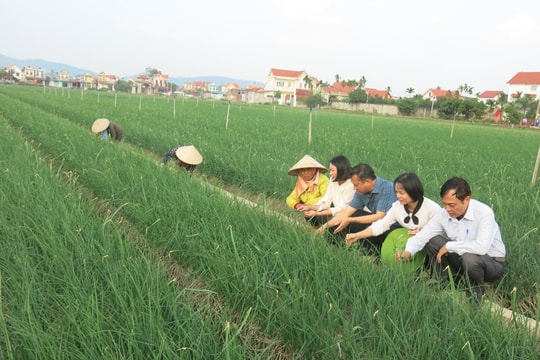 Hướng dẫn doanh nghiệp, hợp tác xã áp dụng nền tảng số phát triển thị trường