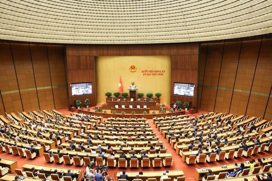 Tiểu sử tóm tắt ứng cử viên đại biểu Quốc hội khóa XVI thuộc đơn vị bầu cử số 3 thành phố Hải Phòng