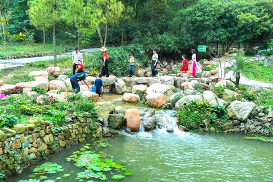 Trẩy hội Côn Sơn - Kiếp Bạc, tìm khoảng lặng giữa mùa xuân