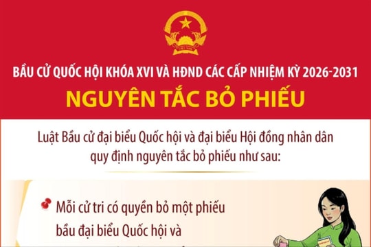 Nguyên tắc bỏ phiếu bầu đại biểu Quốc hội và đại biểu HĐND các cấp