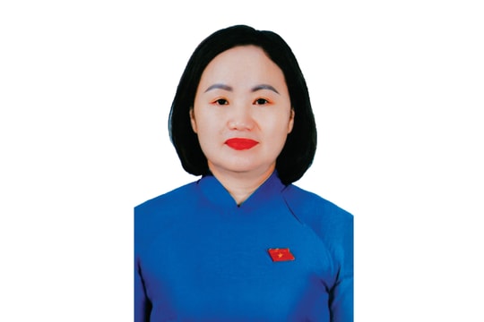 Chương trình hành động của bà Phạm Thúy Chinh: Đồng hành cùng thành phố hoàn thiện các cơ chế, chính sách để phát huy lợi thế