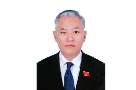 Chương trình hành động của ông Đôn Tuấn Phong: Góp phần tăng cường quốc phòng, an ninh, nâng cao vị thế Việt Nam trên trường quốc tế