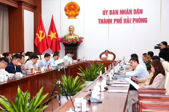 Lễ hội Hoa Phượng Đỏ - Hải Phòng 2026 dự kiến diễn ra từ ngày 9 đến 15/5