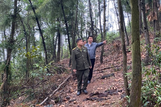 Không để cháy rừng