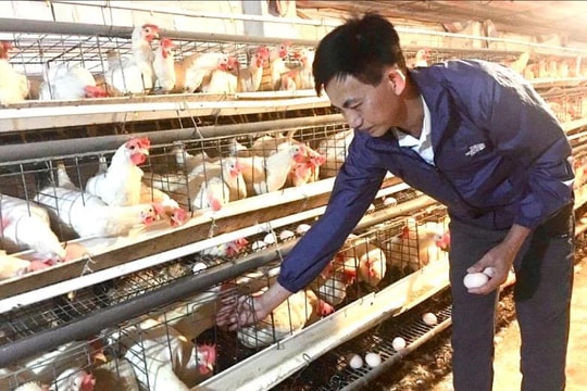 New technologies boost efficiency in agricultural production