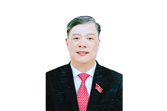 Chương trình hành động của ông Đỗ Đức Hòa: Gắn bó với cử tri, thúc đẩy phát triển kinh tế biển và nông nghiệp công nghệ cao
