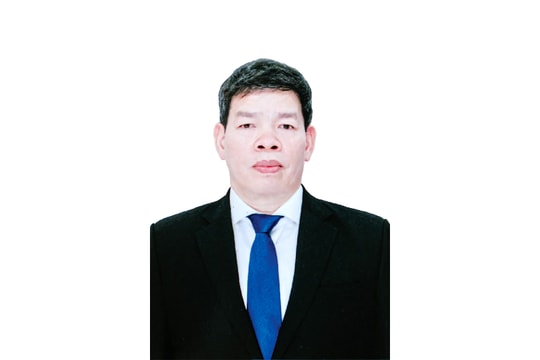 Chương trình hành động của ông Lương Văn Việt: Đổi mới giáo dục, phát triển nguồn nhân lực chất lượng cao cho Hải Phòng