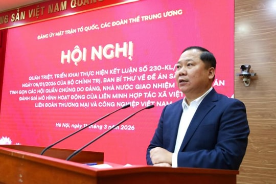Triển khai Đề án sắp xếp, tinh gọn các hội quần chúng
