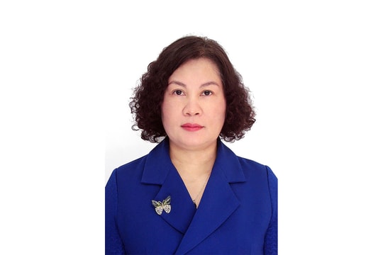 Chương trình hành động của bà Ngô Thị Thanh Hòa: Tập trung theo dõi, kiến nghị các giải pháp đối với các vấn đề người dân quan tâm