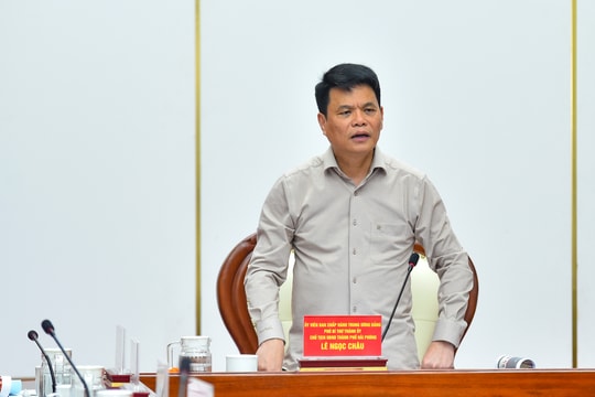 Chuẩn bị chu đáo các điều kiện để tổ chức thành công, ấn tượng Lễ hội Hoa Phượng Đỏ - Hải Phòng 2026