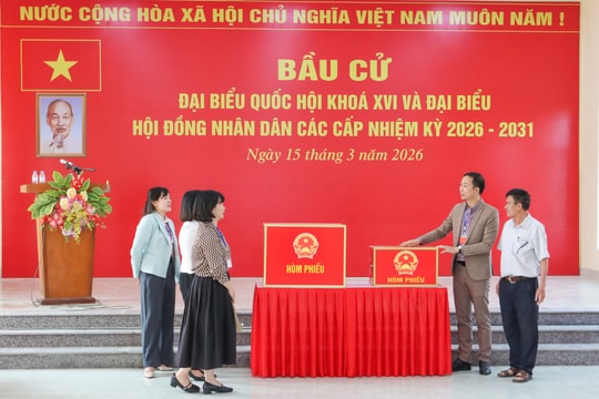 Linh hoạt các phương án bảo đảm quyền bầu cử cho vận động viên