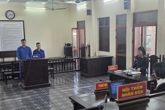 Liên quan đến ma tuý, 3 đối tượng vào tù