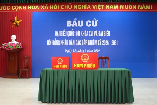 Over 3 million voters in Hai Phong cast their ballots