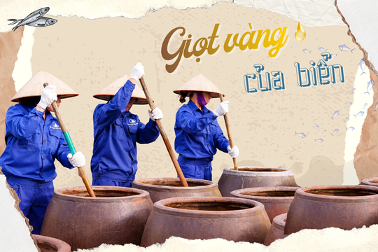 Nước mắm Cát Hải - 'giọt vàng’ của biển