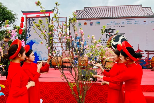 Ngắm hoa anh đào giữa khu công nghiệp sinh thái Nam Cầu Kiền