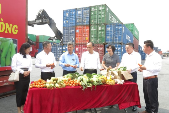 Chung tay kết nối hỗ trợ tiêu thụ nông sản cho bà con nông dân tại Cảng GreenPort