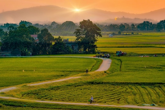 Người về trong tiết thanh minh