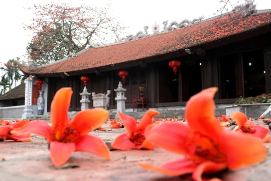 Tháng ba hoa gạo