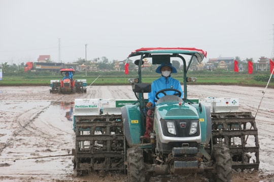 Nhân rộng mô hình sản xuất lúa giảm phát thải nhà kính