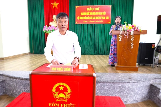 7 đồng chí lãnh đạo sở ở Hải Phòng trúng cử đại biểu Quốc hội, HĐND thành phố