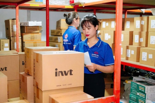 Hai Phong taps youth potential to boost private sector growth
