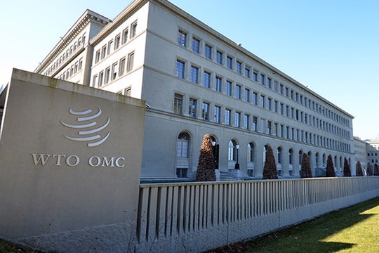 Liên minh châu Âu kêu gọi cải cách sâu rộng WTO