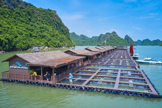 Nhà bè Hải Phong ở Hải Phòng xác lập 2 kỷ lục Việt Nam