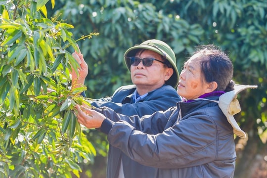 Miền Bắc nắng to, chuẩn bị đón không khí lạnh tăng cường
