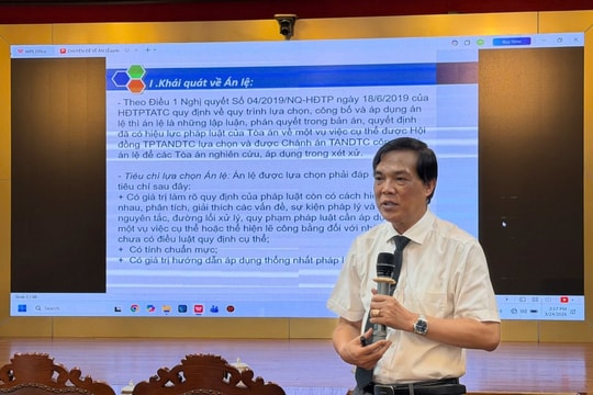Tòa án nhân dân thành phố Hải Phòng tập huấn án lệ mới