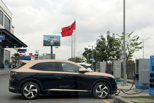 Xe điện đắt khách