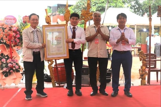 Cây thị cổ thụ ở phường An Hải được công nhận là cây di sản Việt Nam