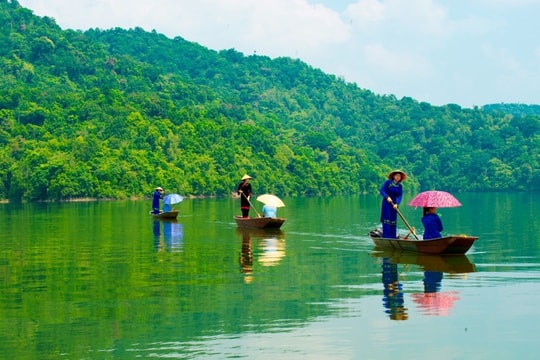 Việt Nam nhận gần 1.900 tỷ đồng để giảm phát thải rừng