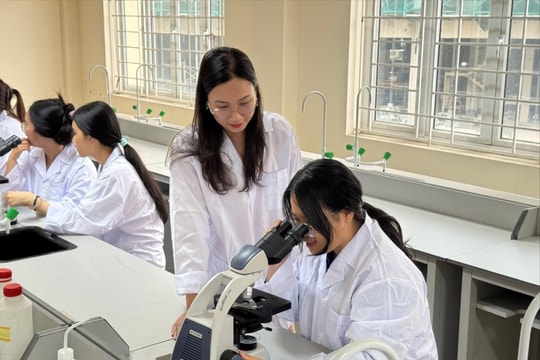 Ban hành quy định về quản lý dữ liệu giáo dục và đào tạo
