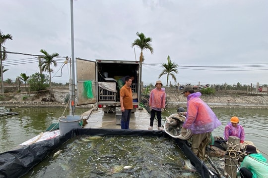 Nam Triệu khai thác lợi thế nuôi thủy sản