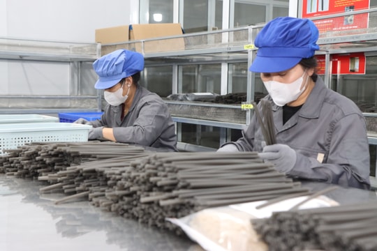 Ống hút từ rau củ, giá trị mới cho nông sản Việt