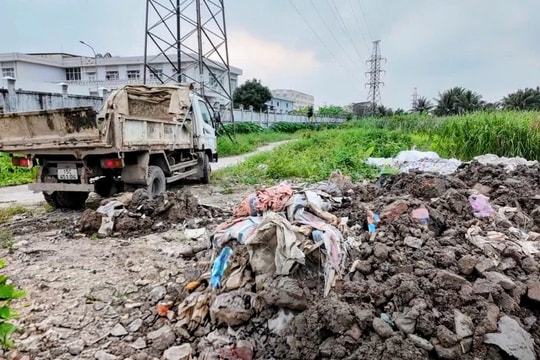 Phải xúc lại toàn bộ chất thải đổ trái phép ở phường An Hải