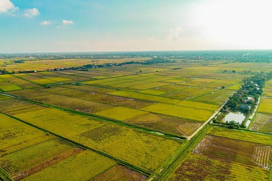 Kỳ vọng từ Khu kinh tế chuyên biệt Hải Phòng