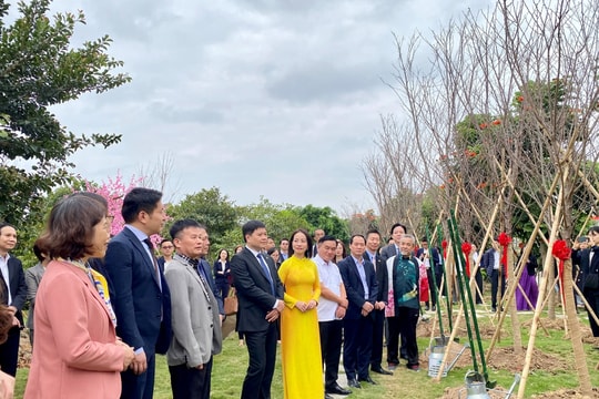 Green transition to drive growth in Hai Phong