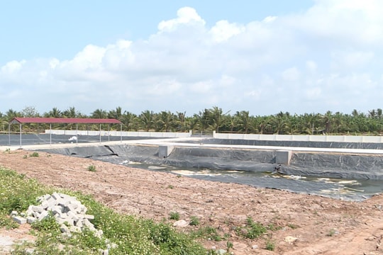 Xã Chấn Hưng tìm giải pháp xử lý rác thải