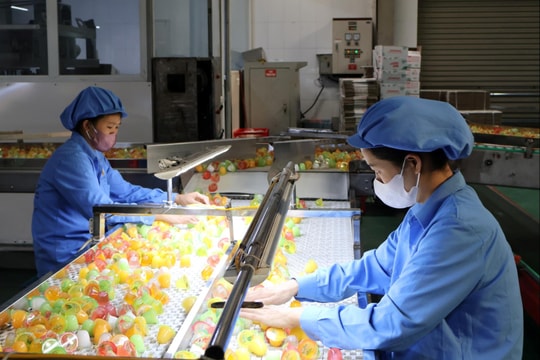 Chỉ số sản xuất công nghiệp quý I của Hải Phòng tăng 14,88%