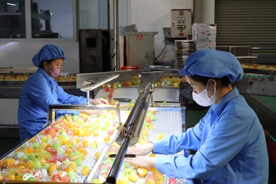 Haiphong’s Industrial Production Index Rises 14.88% in Q1