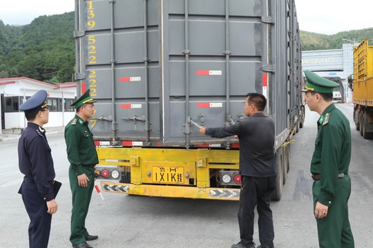 Hải quan phát hiện gần 8.900 vụ buôn lậu vi phạm hơn 8.000 tỷ đồng