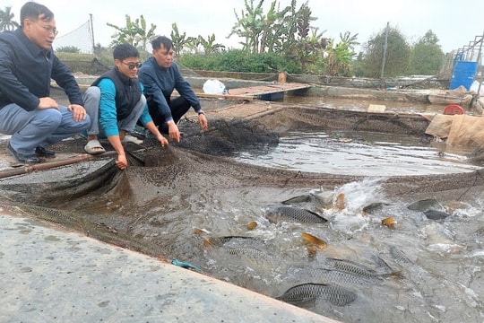 Xuất khẩu thủy sản quý 1 đạt 2,64 tỷ USD